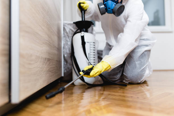 Best Affordable Pest Control Services  in Aho Falls, ID
