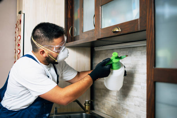 Best Commercial Pest Control Services  in Aho Falls, ID