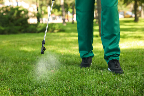 Best Bed Bug Extermination  in Aho Falls, ID