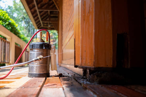 Best Best Pest Control Companies  in Aho Falls, ID