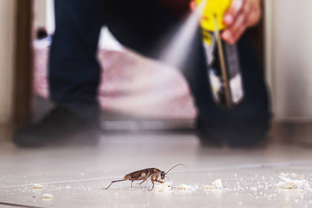 Best Best Pest Control Companies  in Aho Falls, ID