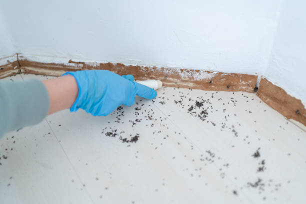Idaho Falls, ID Pest Control Company